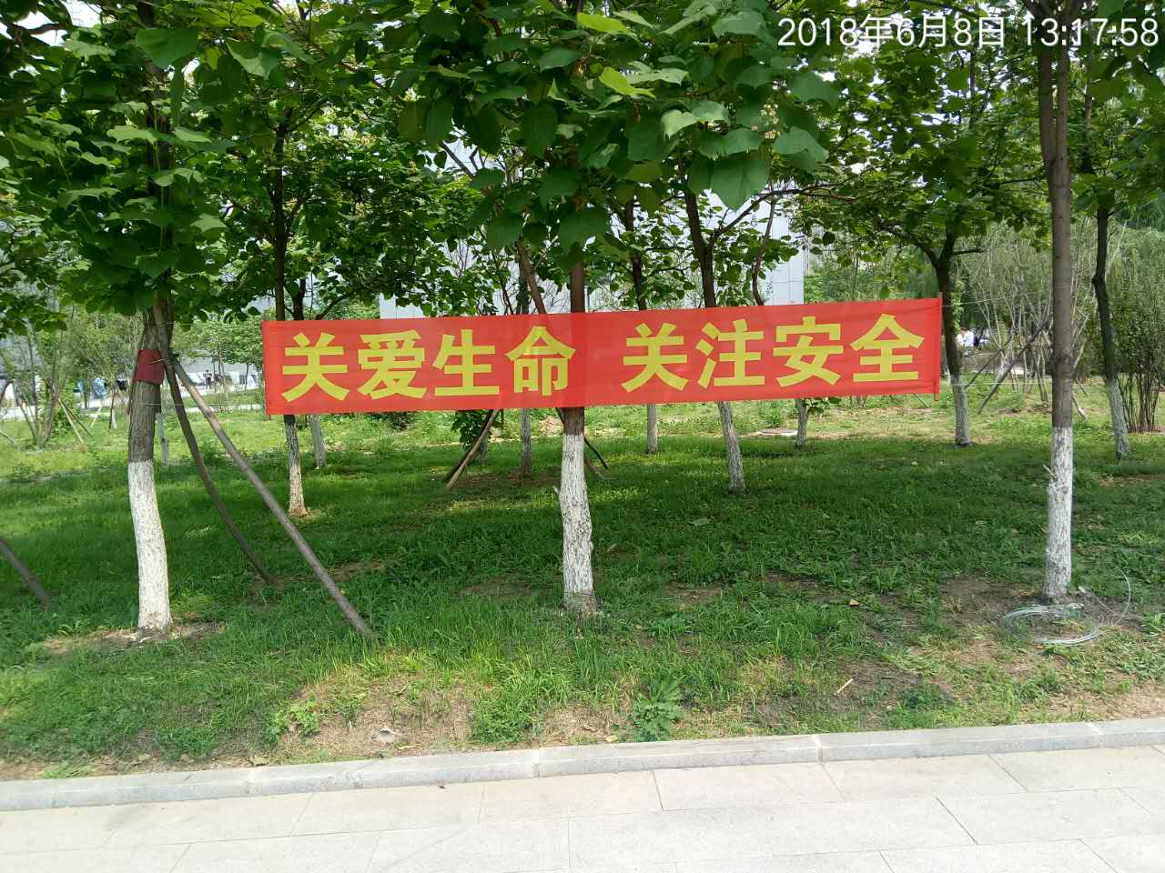 微信图片_20180608145505.jpg